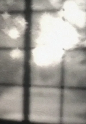 Постер: Reflection