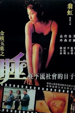 Постер: Undercover Girls