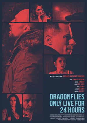 Постер: Dragonfiles Only Live for 24 Hours