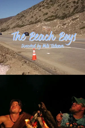 Постер: The Beach Boys