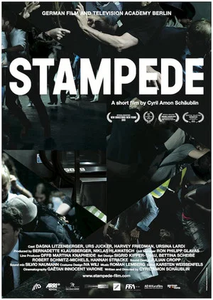 Постер: Stampede