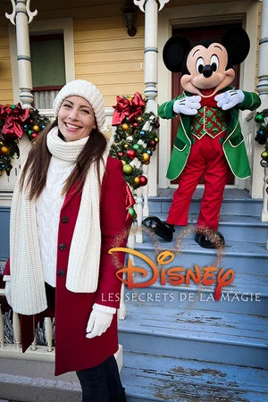 Постер: Disney : Les Secrets de la Magie