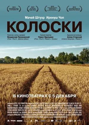 Постер: Колоски