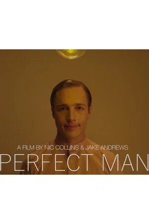 Постер: Perfect Man