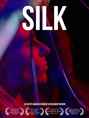 Постер: Silk