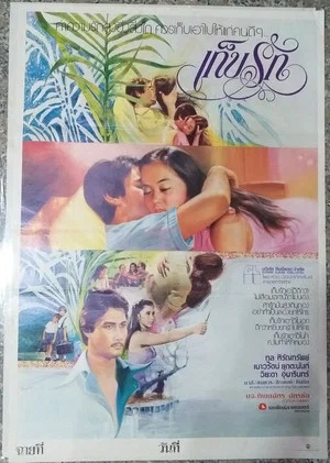 Постер: เก็บรัก