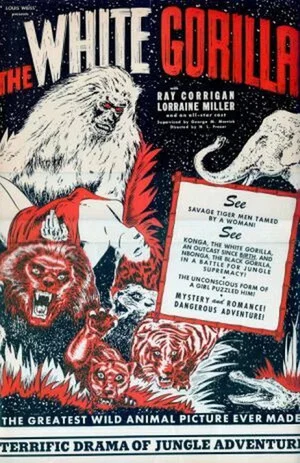 Постер: The White Gorilla