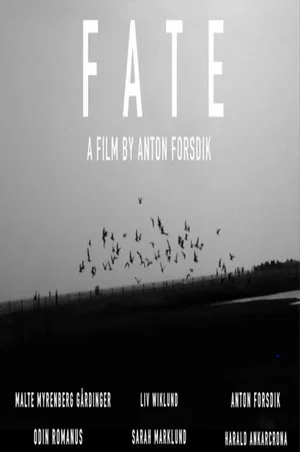 Постер: Fate