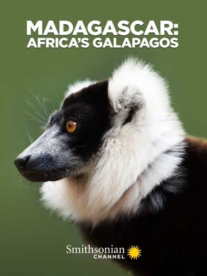 Постер: Madagascar: Africa's Galapagos