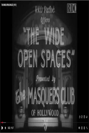 Постер: The Wide Open Spaces