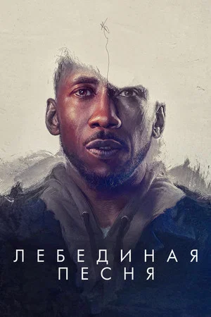 Постер: Лебединая песня