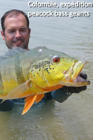 Постер: Colombia, A Giant Peacock Bass Expedition