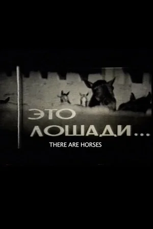Постер: Это лошади