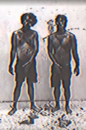 Постер: Fook Fook Boys