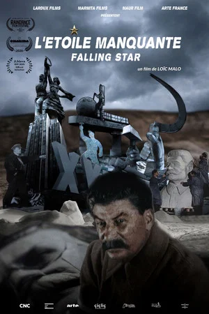 Постер: The Falling Star