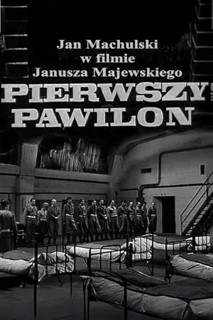 Постер: First Pavilion