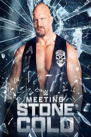 Постер: Meeting Stone Cold