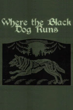 Постер: Where the Black Dog Runs