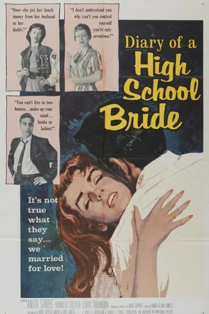Постер: The Diary of a High School Bride