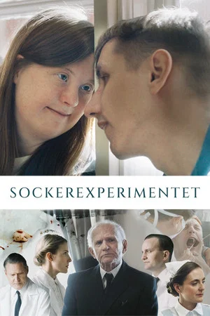 Постер: The Sugar Experiment