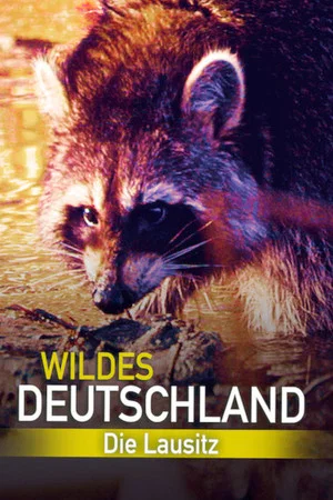 Постер: Wildes Deutschland: Die Lausitz