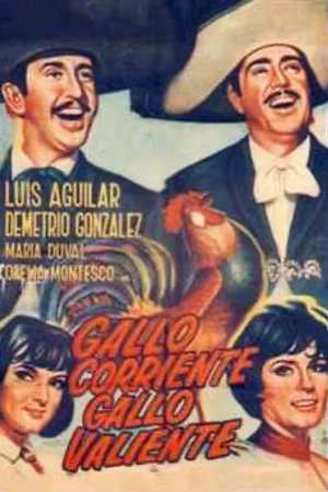 Постер: Gallo corriente, gallo valiente