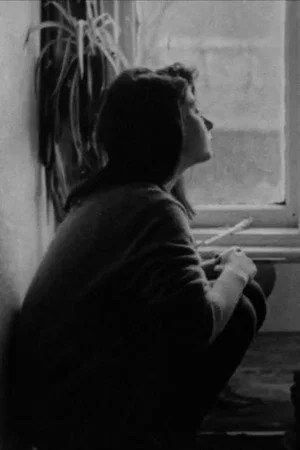 Постер: Looking for the Moon