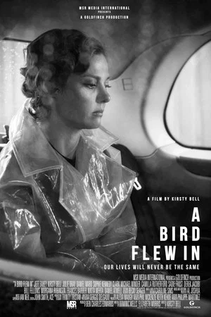 Постер: A Bird Flew In