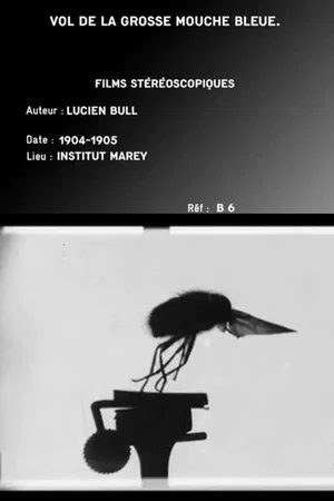 Постер: Flight of the Large Blue Fly