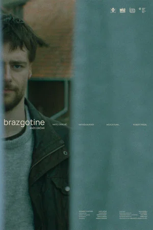 Постер: Brazgotine