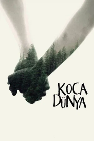 Постер: Big Big World
