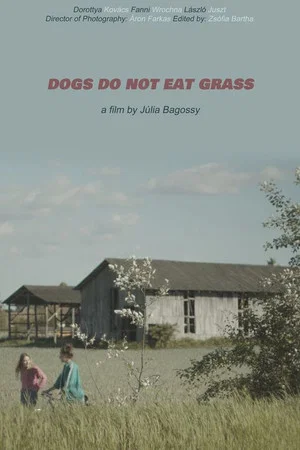 Постер: Dogs Do Not Eat Grass