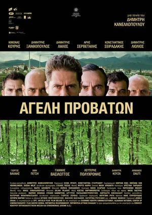 Постер: Овечья стая