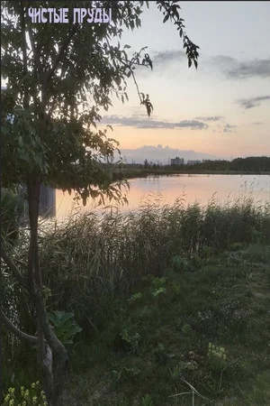 Постер: Чистые Пруды