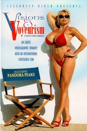 Постер: Visions and Voyeurism