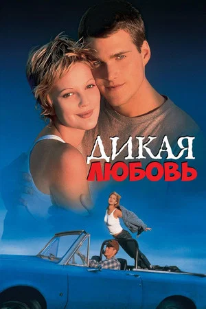 Постер: Дикая любовь