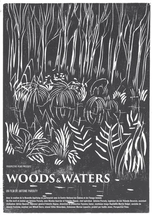 Постер: Woods and Waters