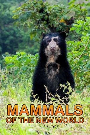 Постер: Mammals of the New World
