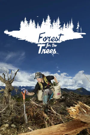 Постер: Forest for the Trees