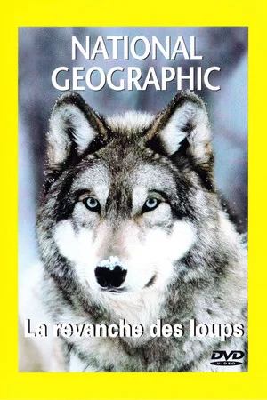 Постер: In the Valley of the Wolves