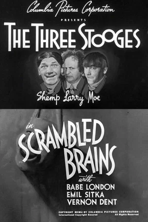 Постер: Scrambled Brains