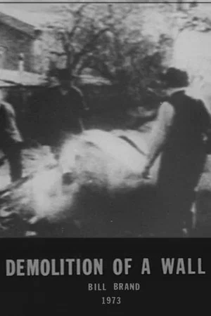 Постер: Demolition of a Wall
