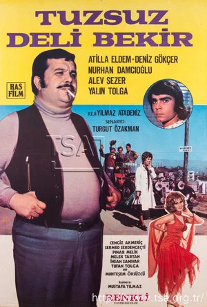 Постер: Tuzsuz Deli Bekir