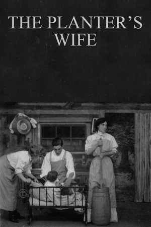 Постер: The Planter's Wife