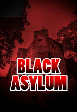 Постер: Black Asylum