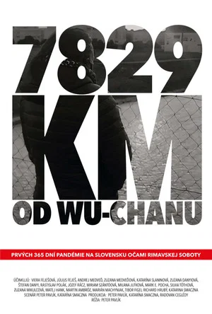 Постер: 7829 km od Wu-chanu