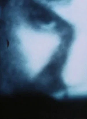 Постер: Endless Obsession