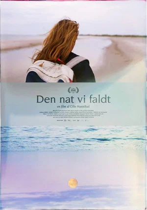 Постер: The Night We Fell
