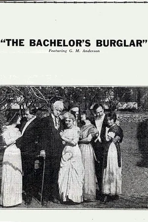 Постер: The Bachelor's Burglar