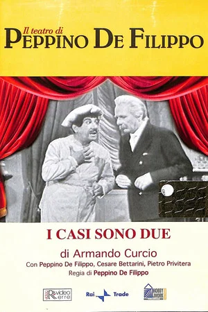 Постер: I casi sono due